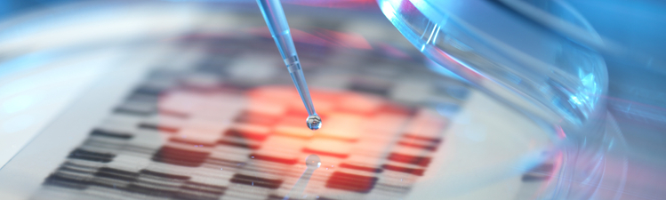 Genetic research, conceptual image. DNA (deoxyribonucleic acid) autoradiogram in a petri dish.