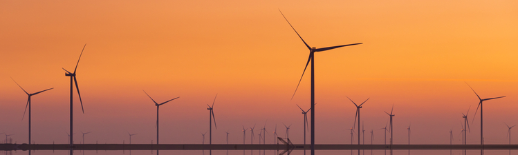 Wide angle of wind turbines reflected in water at sunset.
