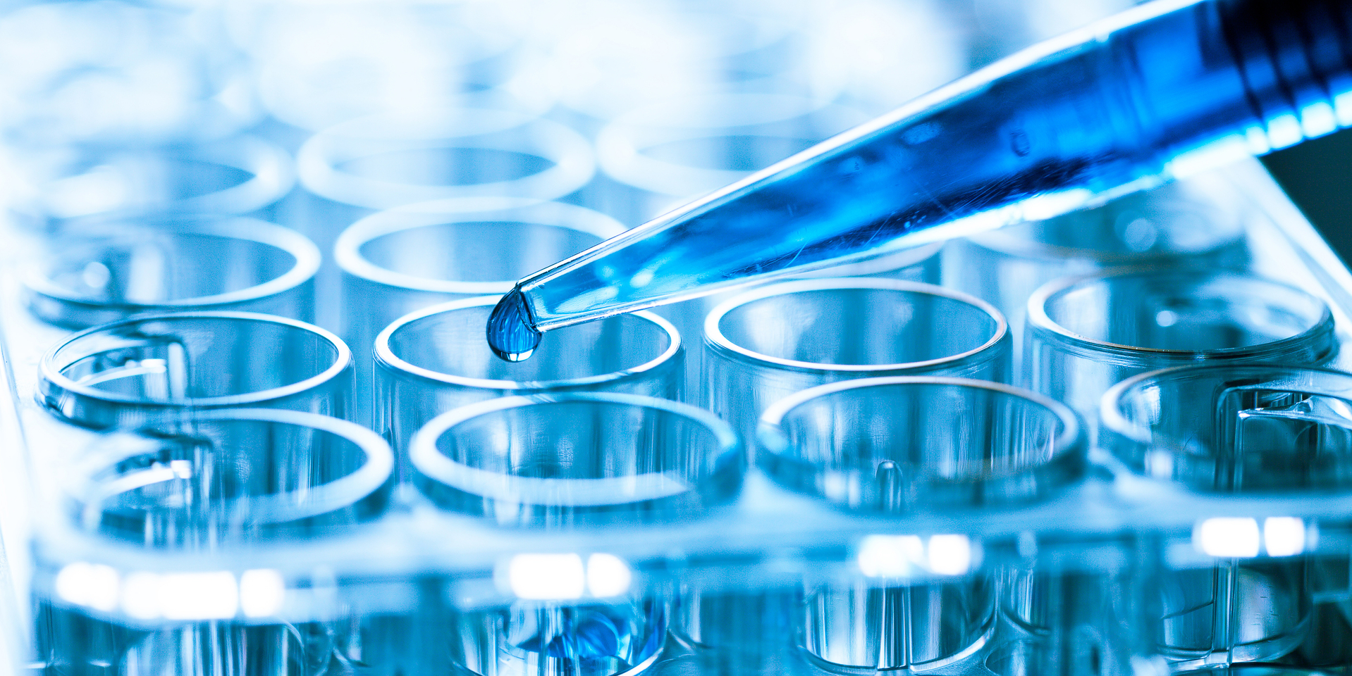 microbiological pipette in the genetic laboratory