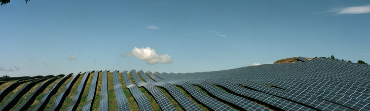 Wide angle of solar panels on hillside. 