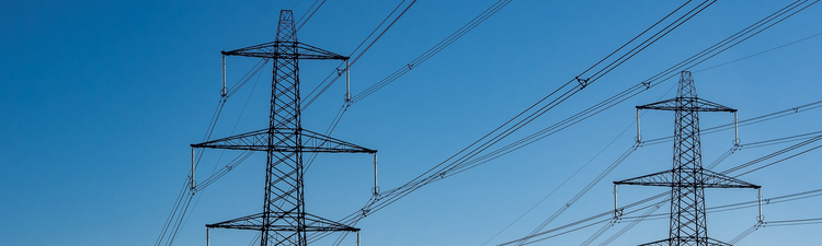 Wide angle of cows grazing near high-voltage transmissions towers in rural area.