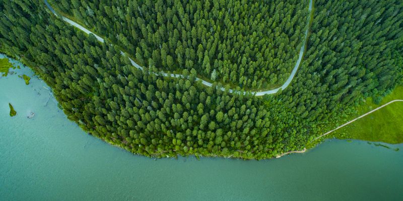 Aerial view of a road running through a forest near a lake. 