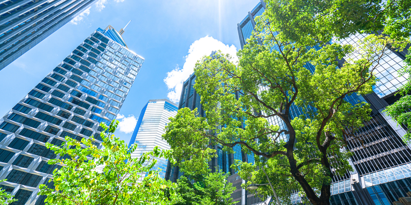 Up angle of office buildings surrounded by green trees.