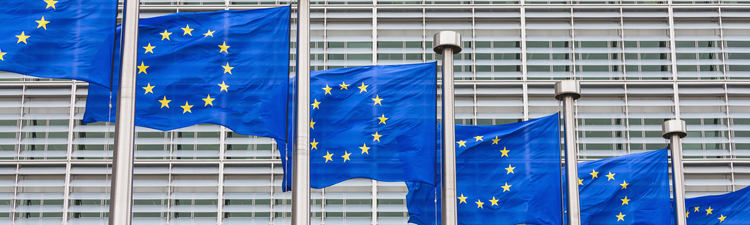 European Union Flags