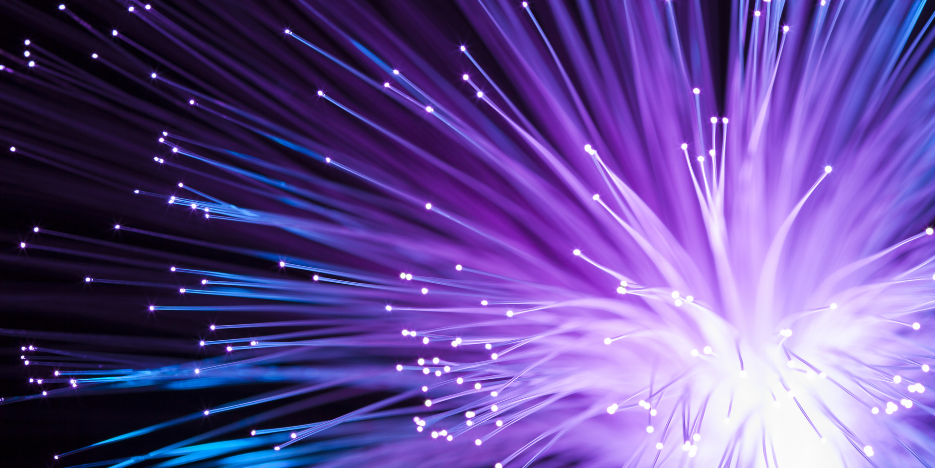 colorful shiny fiber optics.