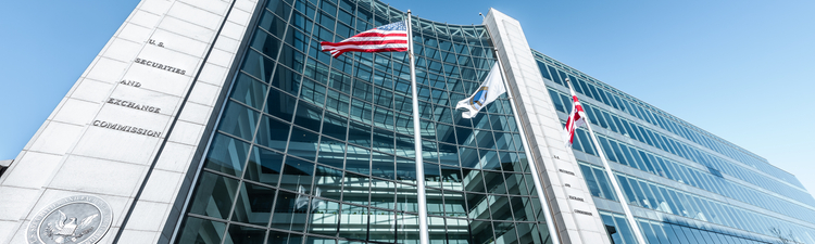 United States Securities and Exchange Commission (SEC)