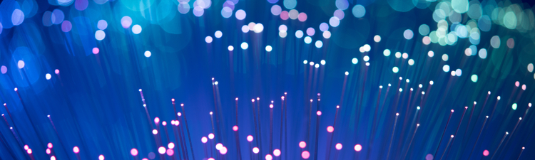 Close-up of fan-shape fiber optics.