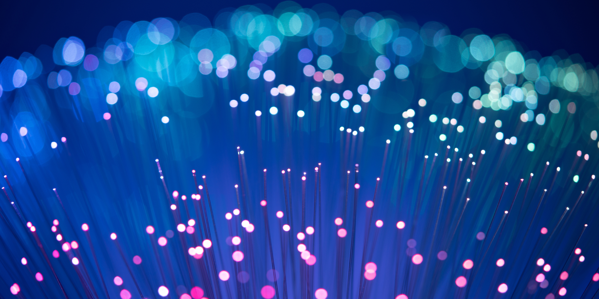 Close-up of fan-shape fiber optics.