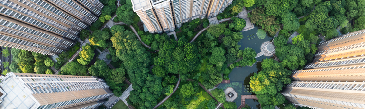 High angle down over multi-story residential buildings surrounded by trees.