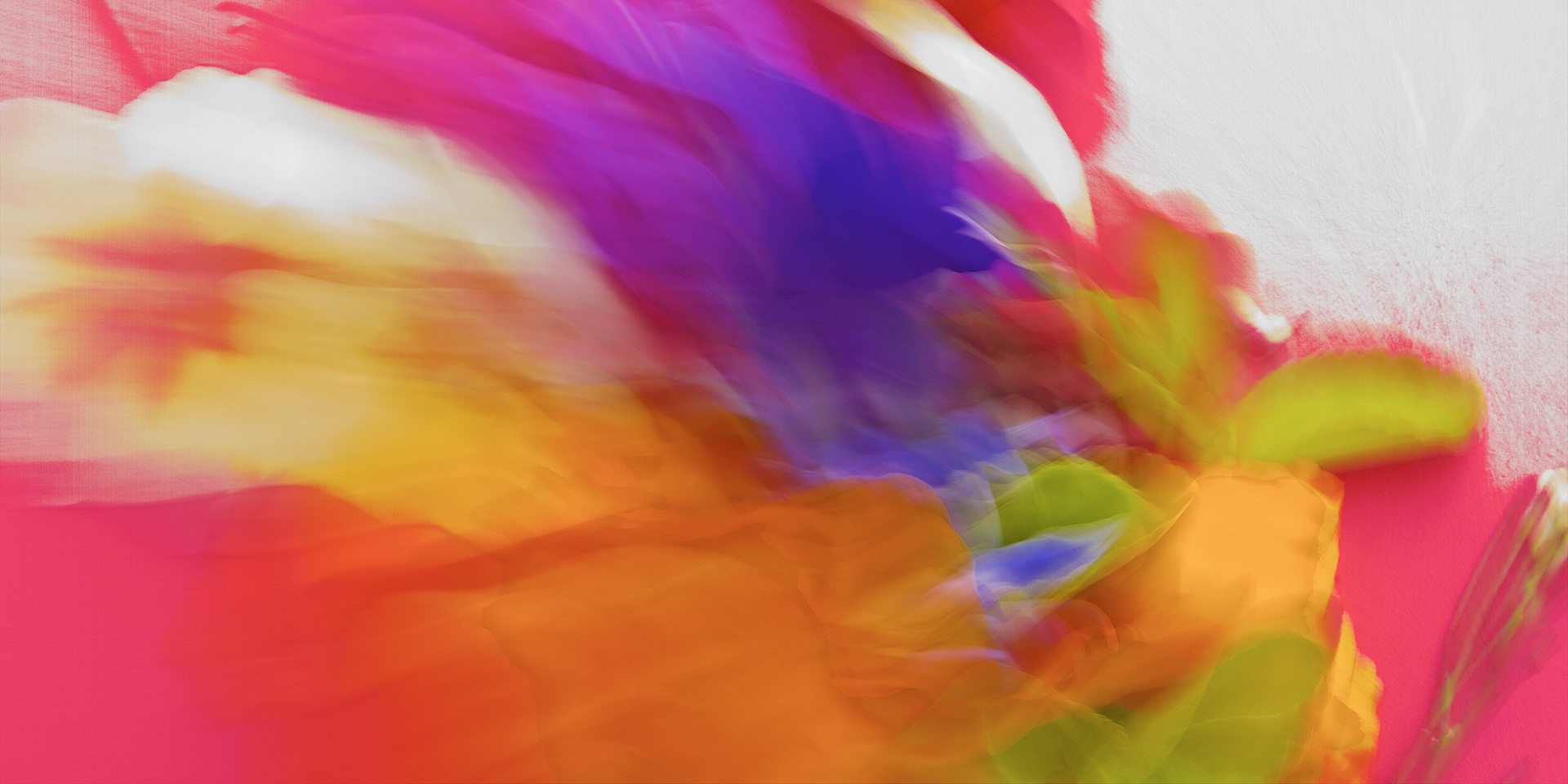 Bold Colours,Nature, Abstract flower, Pink