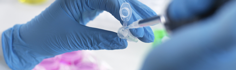 Gloved hands pipetting liquid into a vial