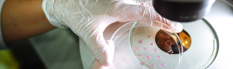 Close-up of medical professional holding petri dish under microscope.