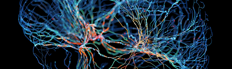 System of neurons with glowing connections on black background