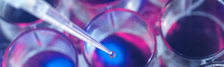 Close-up high angle down of a pipette dispensing liquid into a multi-well plate