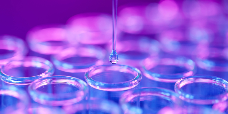 Close-up of a pipette dispensing liquid into a multi-well plate.