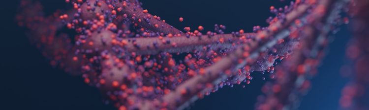 Close-up of a pink and purple digital rendering of a double helix.