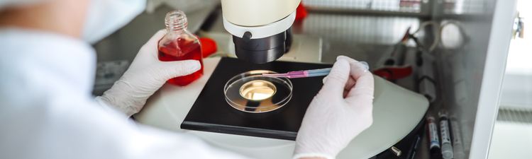 Medium angle of scientist in a laboratory working with microscope and culture plates.