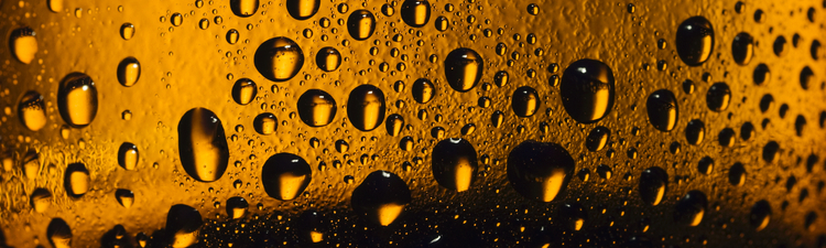 Close up shot of beer bottle covered in condensation droplets.