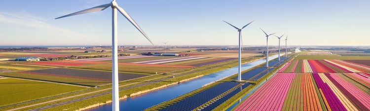 Aerial of tulip field with solar power station and wind farm.  