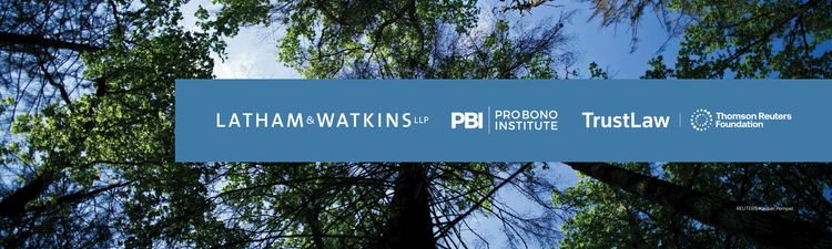 2026 Global Pro Bono Guide Image Banner 4:1