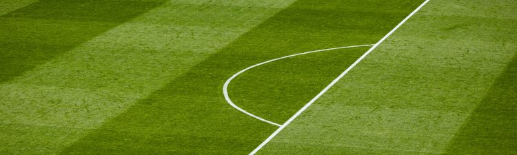 Medium angle of soccer field and penalty area.