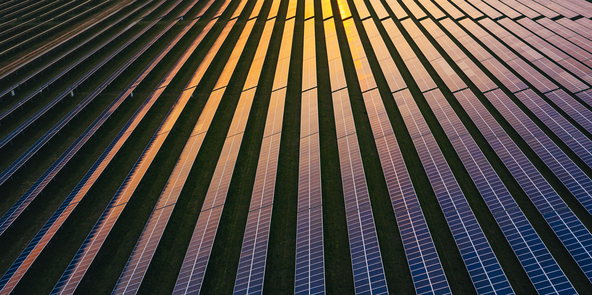 Solar panels at dusk