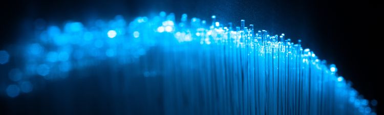 Close-up of blue fiber optics.