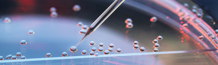 Close-up of nuclear transfer of embryonic stem cells.