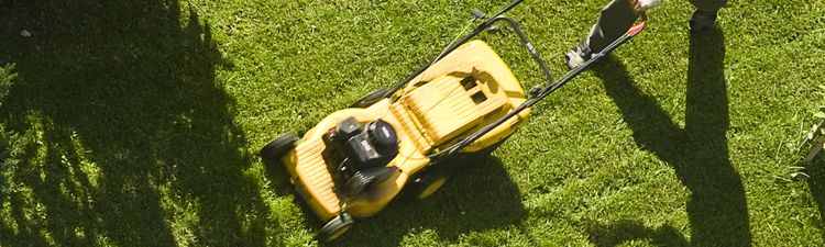 High angle down of man pushing a yellow lawn mower on green grass.