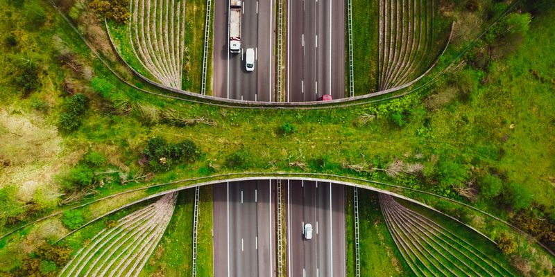 High angle down of Ecoduct De Borkeld wildlife crossing in the Netherlands.
