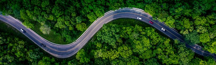 High angle down of cars driving on curvy forest road.