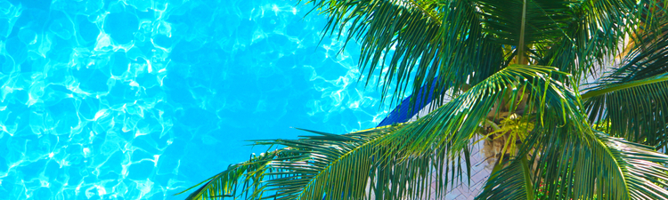 poolside in Miami