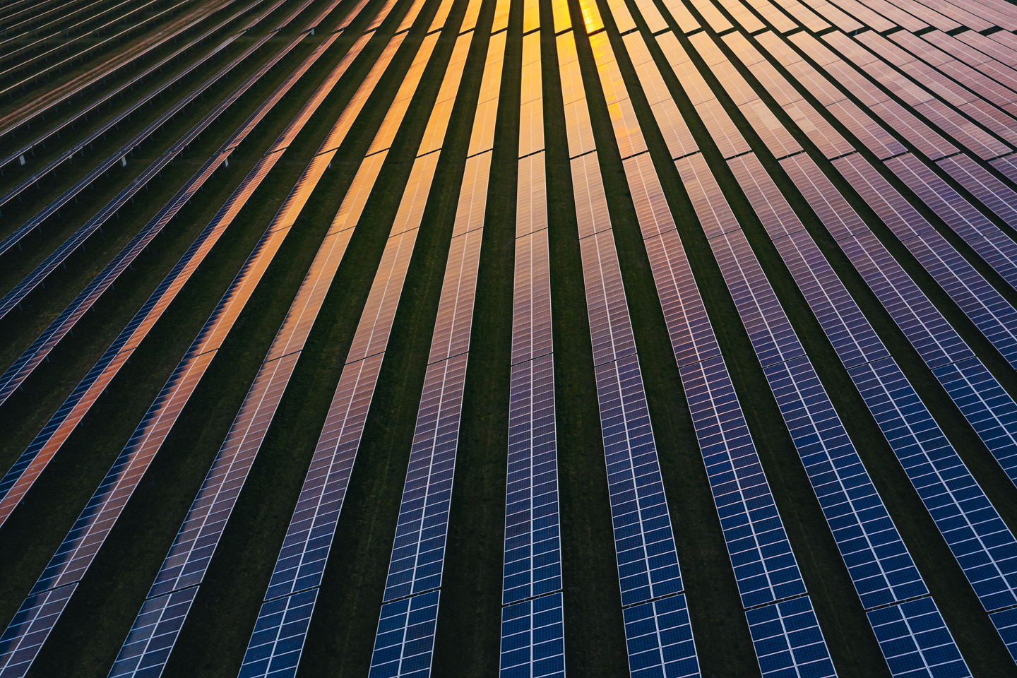 Wide angle of rows of solar panels at dusk.