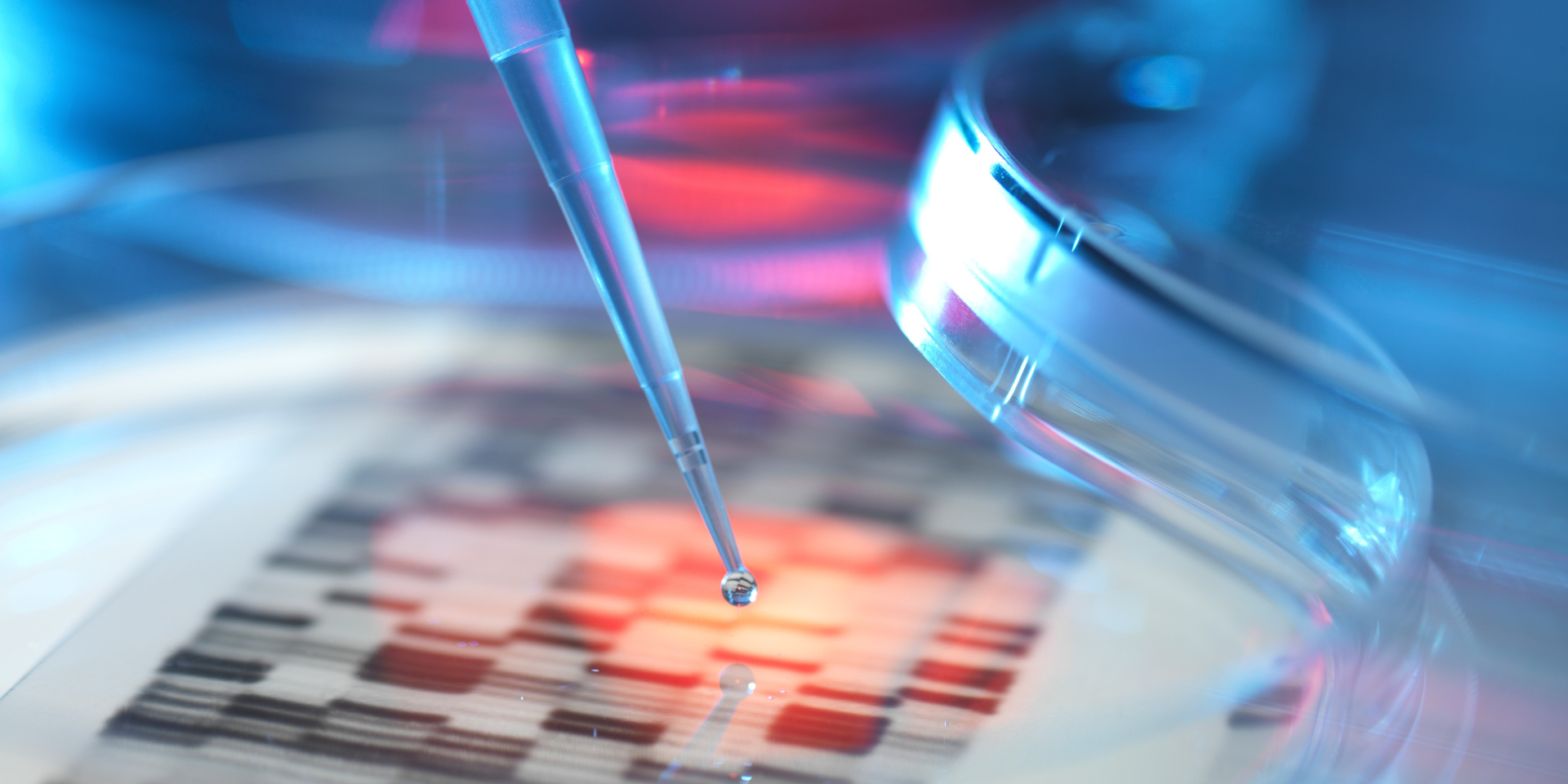 Genetic research, conceptual image. DNA (deoxyribonucleic acid) autoradiogram in a petri dish.