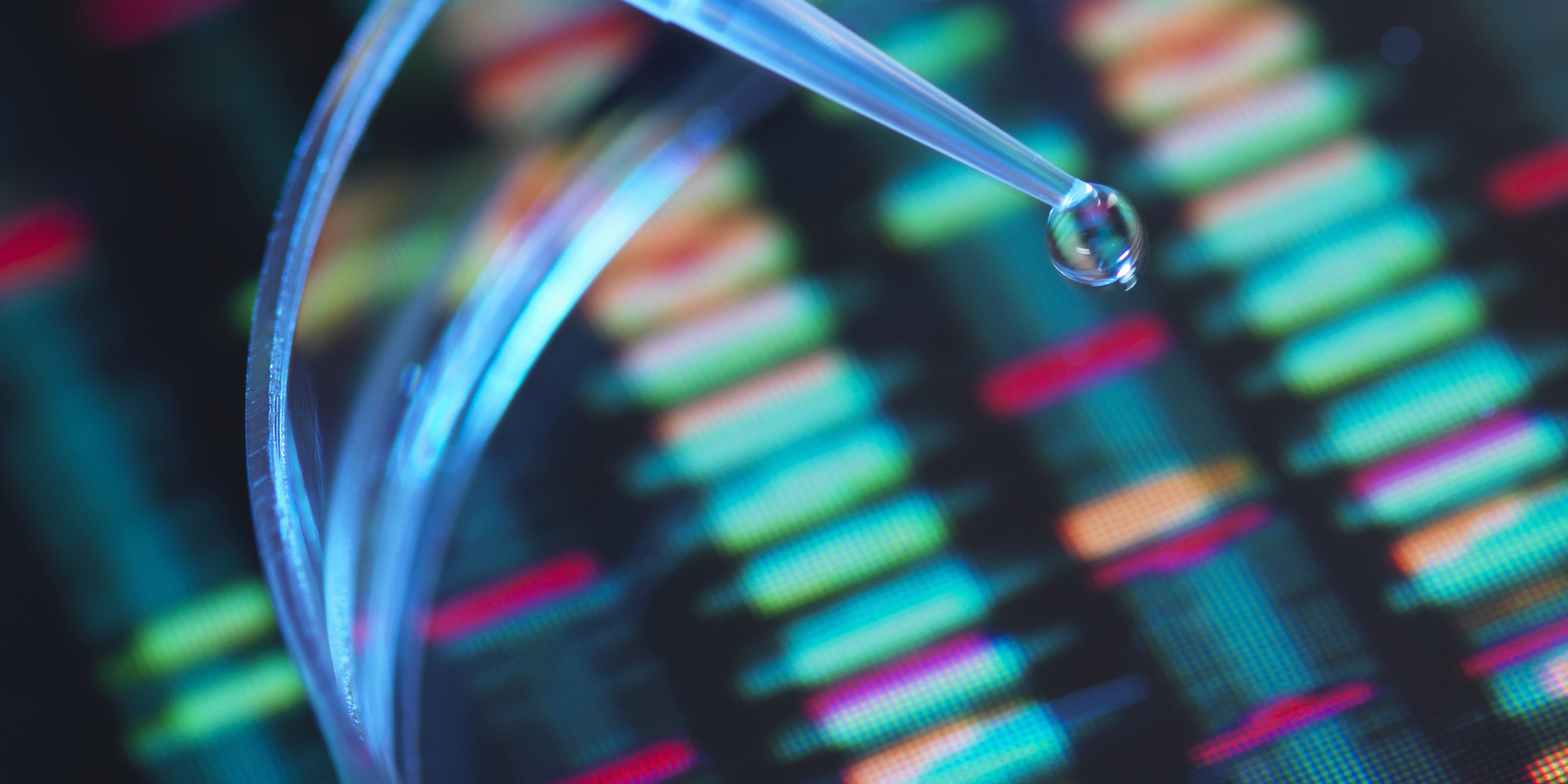 Close-up of pipette releasing clear liquid droplet into a petri dish with DNA sequencing image in background.
