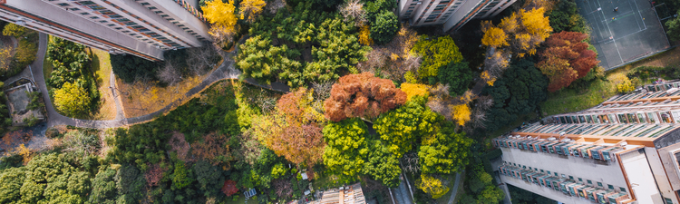 High angle down over residential towers with tree-lined courtyard area. 