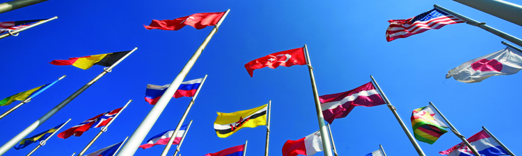 International flags