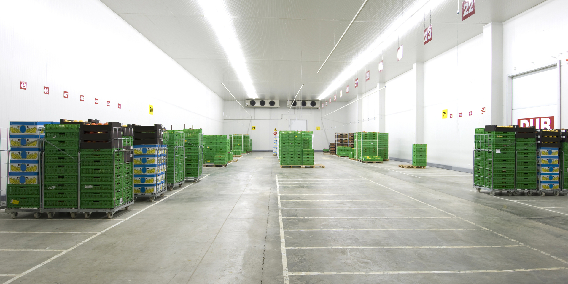 Wide angle of produce cold storage warehouse.