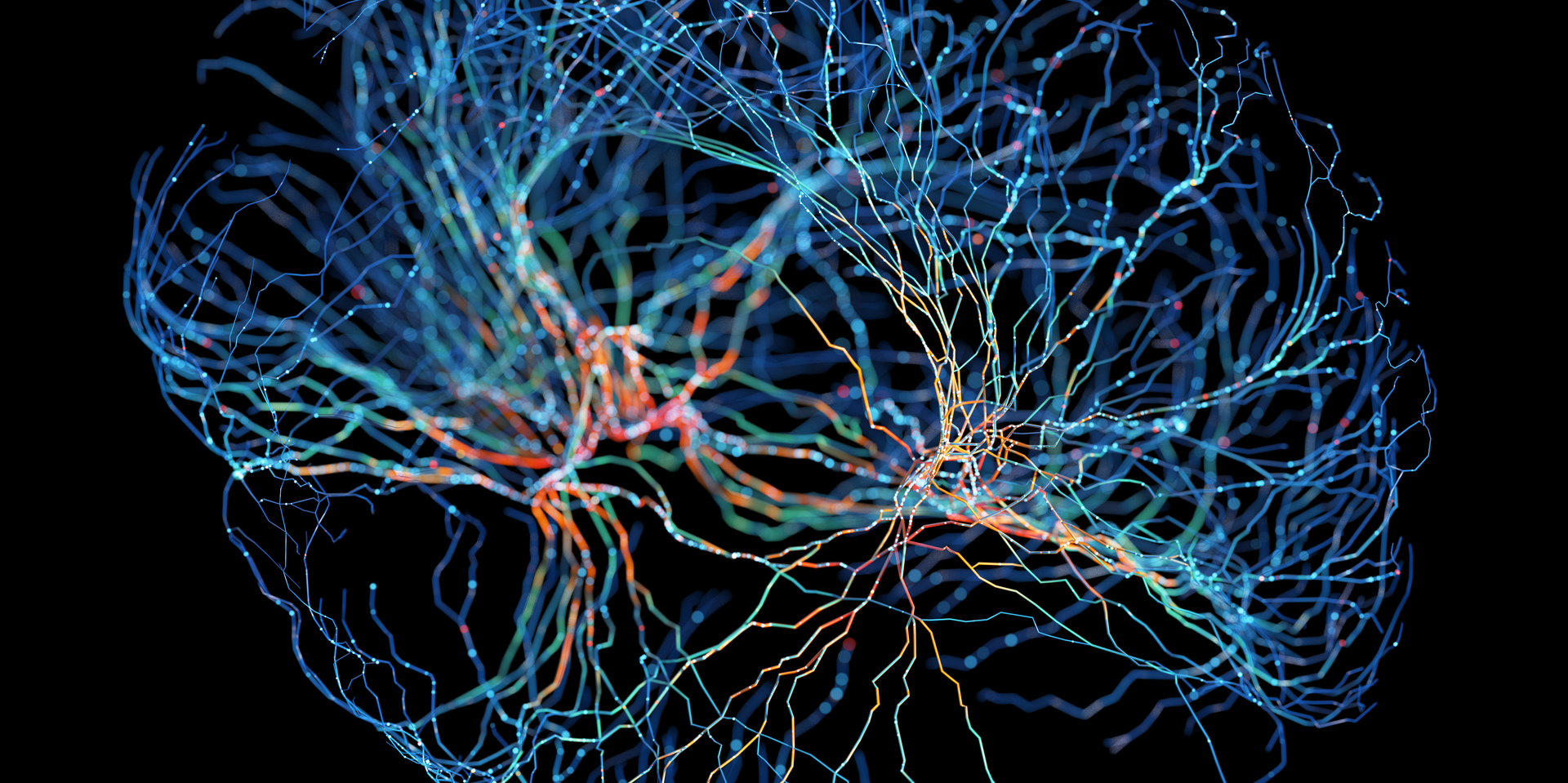 System of neurons with glowing connections on black background