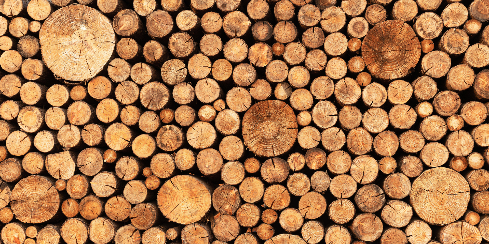 Close-up of stacked wood logs.
