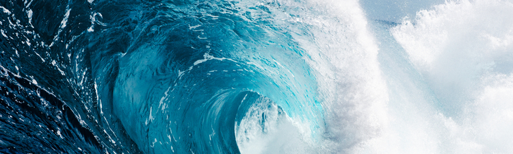 Raw ocean power, up close.
