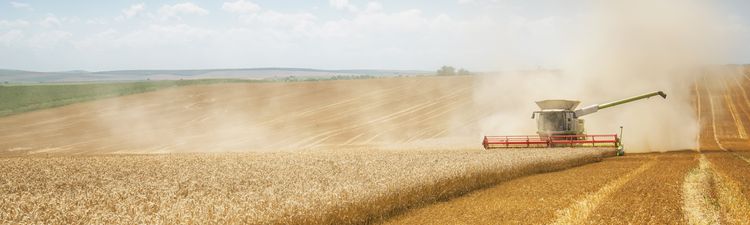 Wide angle of combine harvester in field.