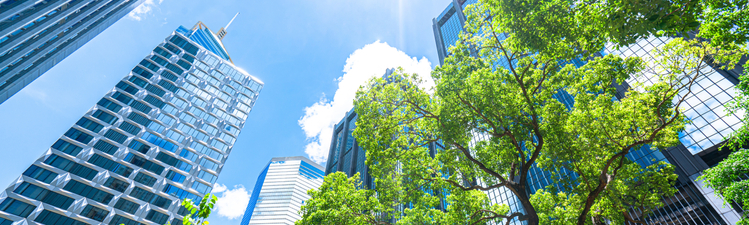 Business towers and Green leaves in Hong Kong