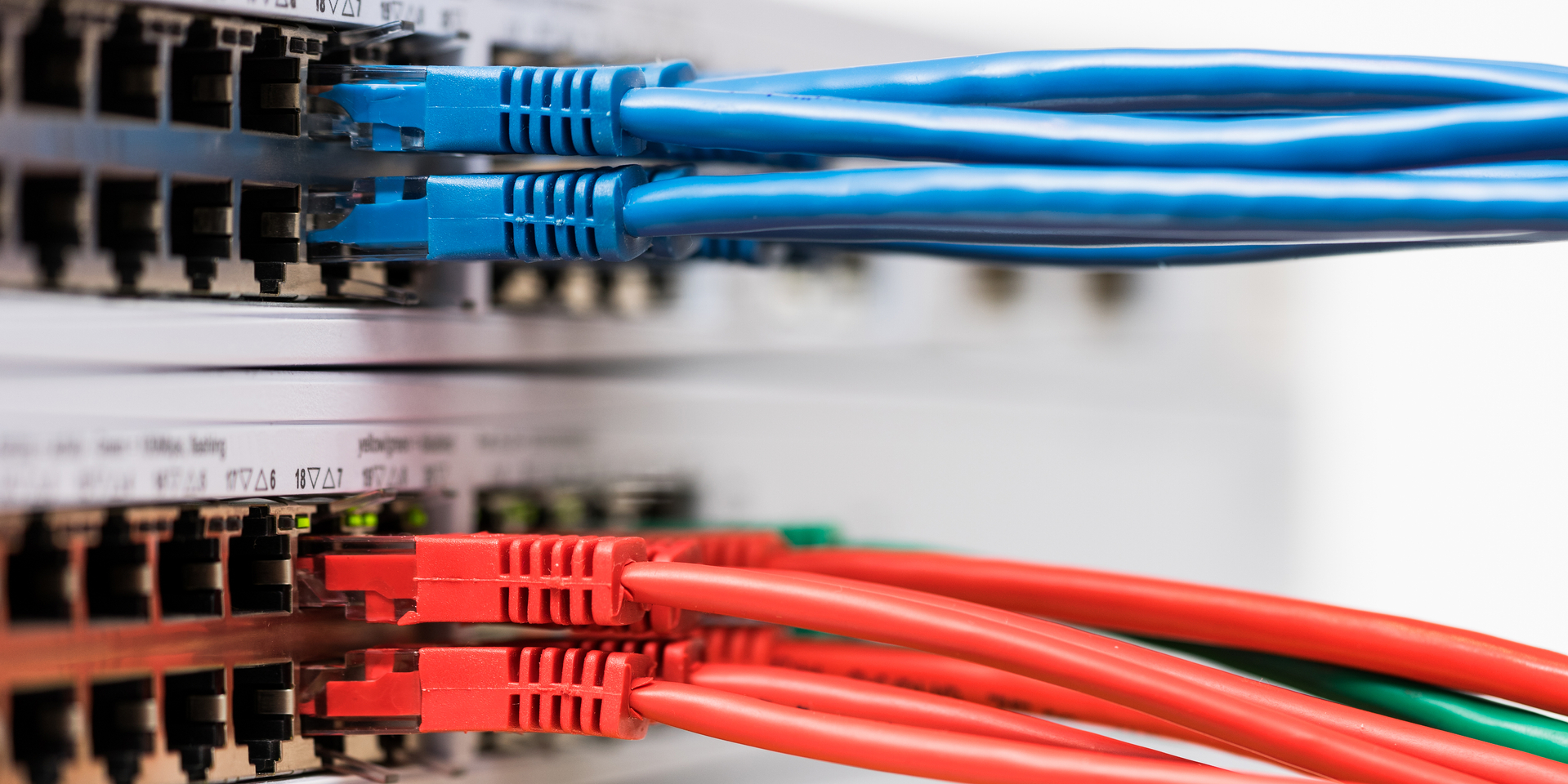 Closeup of  colored computer network cables  connected to a  switch