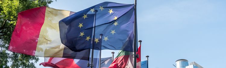 Up angle of European Union and various European national flags in front of the Paul Henri Spaak European Parliament building in Brussels, Belgium.