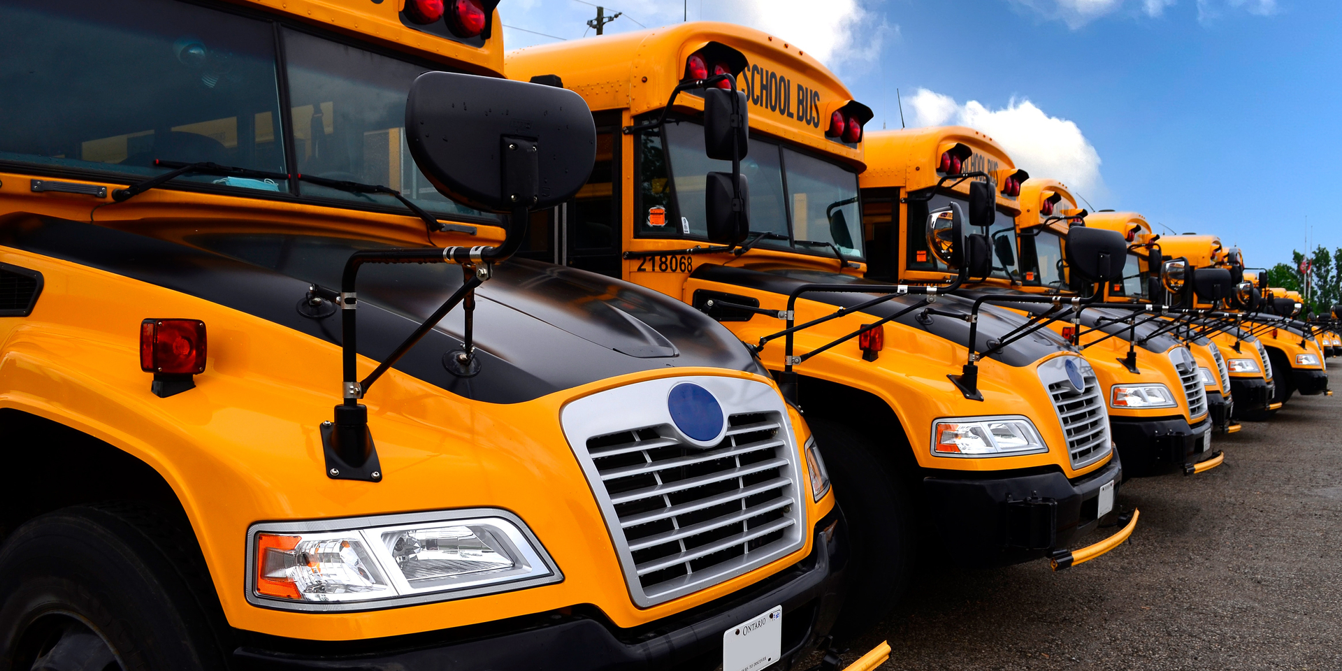 School buses in a line