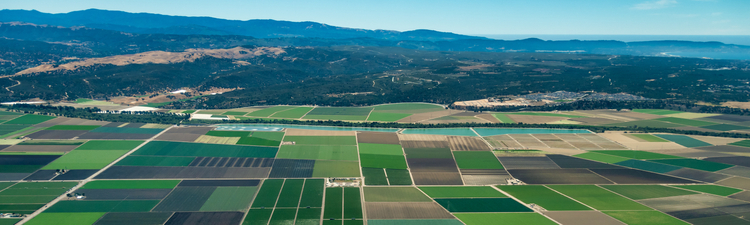 Pacific coast of California with farmland