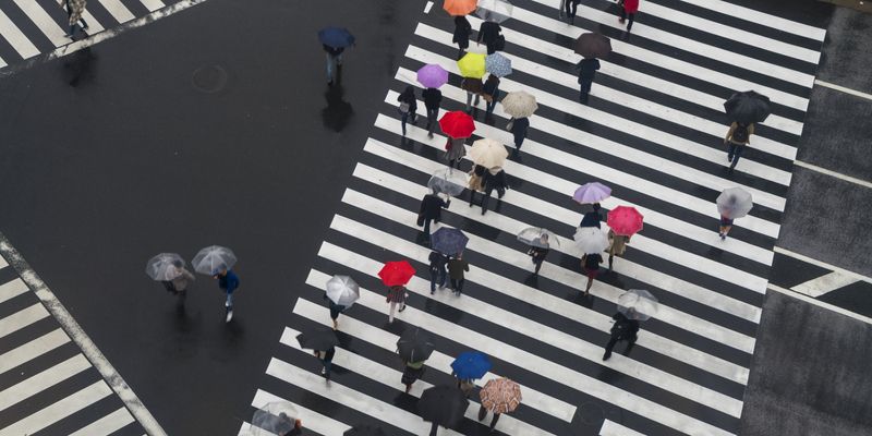 High angle down of pedestrians with umbrellas walking on Shibuya Crossing in Tokyo, Japan.
